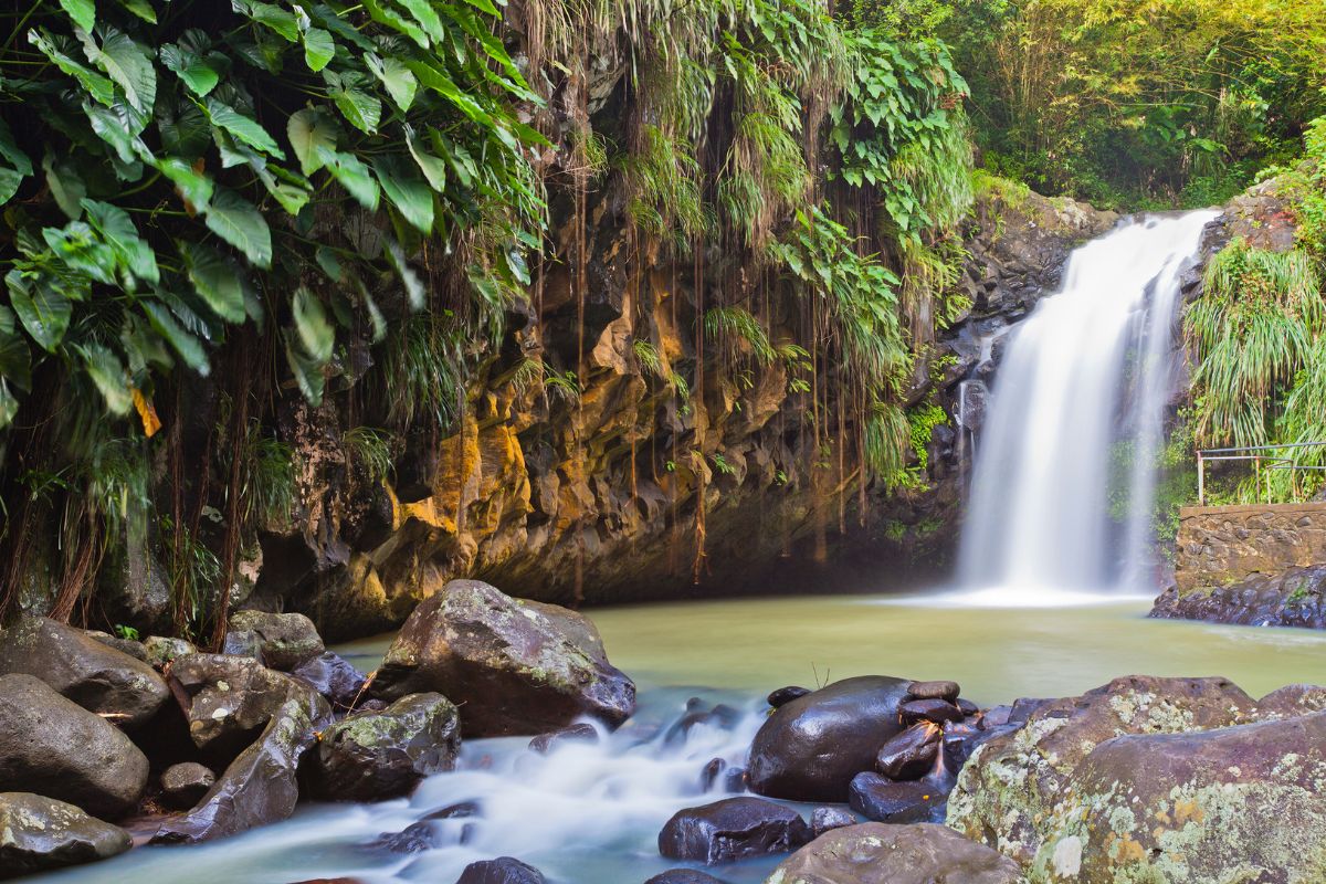 Annandale Waterfall