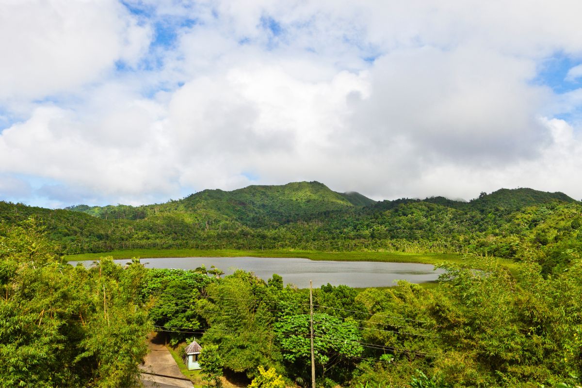 Grand Etang National Park