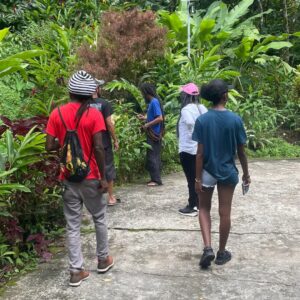 Grenada Rainforest Tours