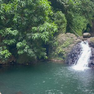 Grenada Seven Sisters Waterfall