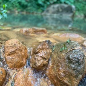 Grenada Sulfur Springs